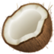 coconut-1f965