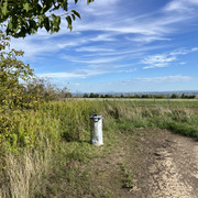 IMG-3347