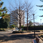 IMG-20221208-110804