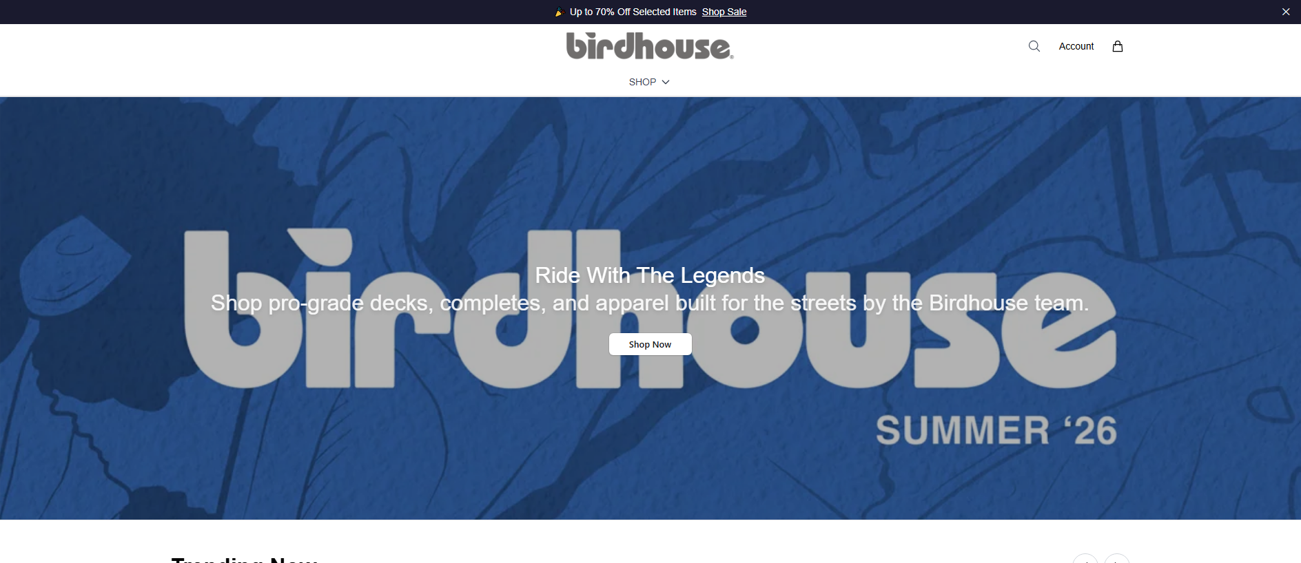 Primary capture · birdhouseskateboards.shop