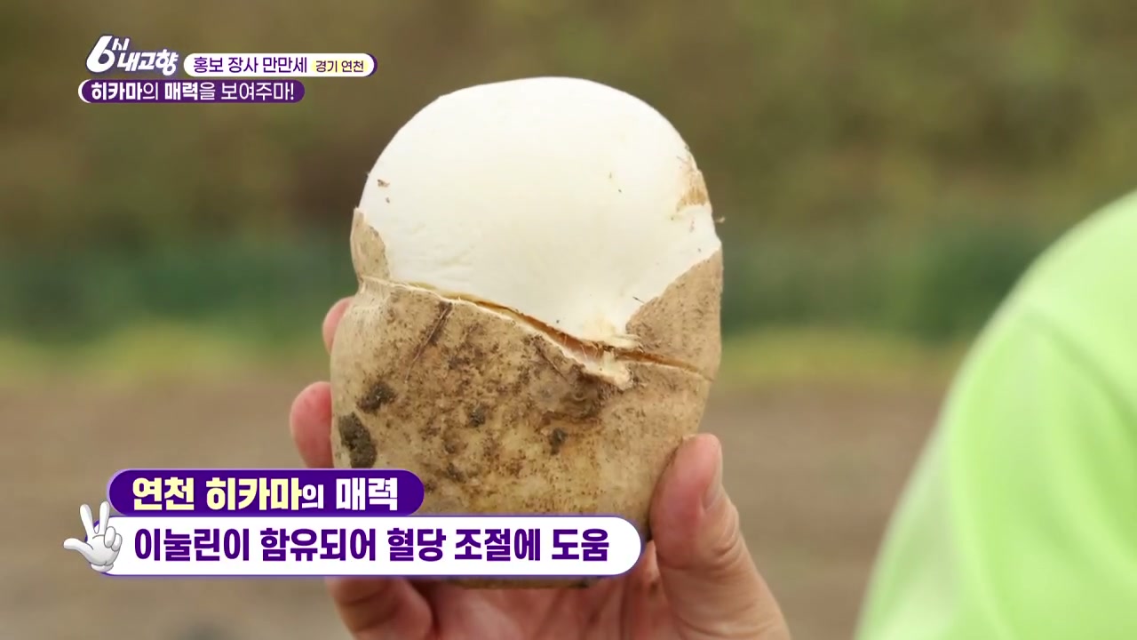 6시내고향 홍보장사만만세 연천 히카마 추가 캡처 2