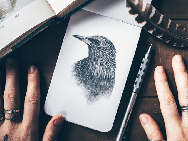 things to draw