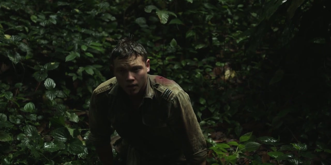 Canopy Screenshot