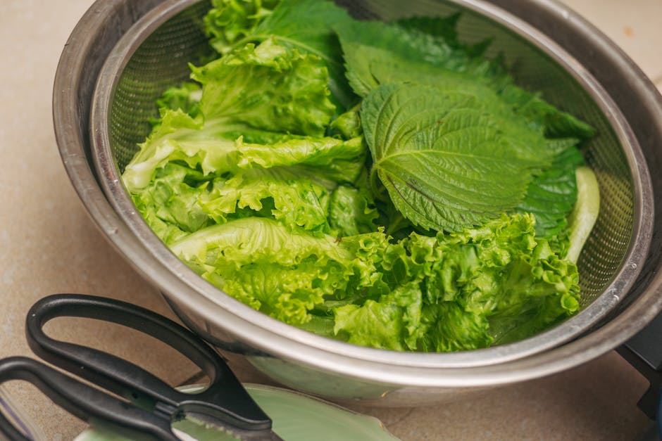 깻잎순볶음 보관법