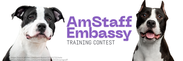 Am-Staff-Embassy