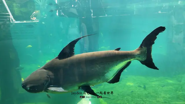 Zoo Negara8.webp