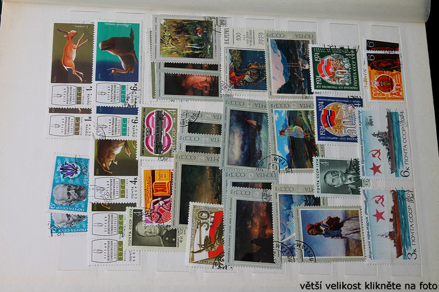 IMG-3041.jpg