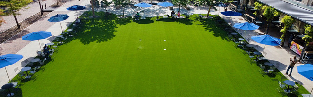 residential artificial turf Smyrna La Vergne Rutherford County TN