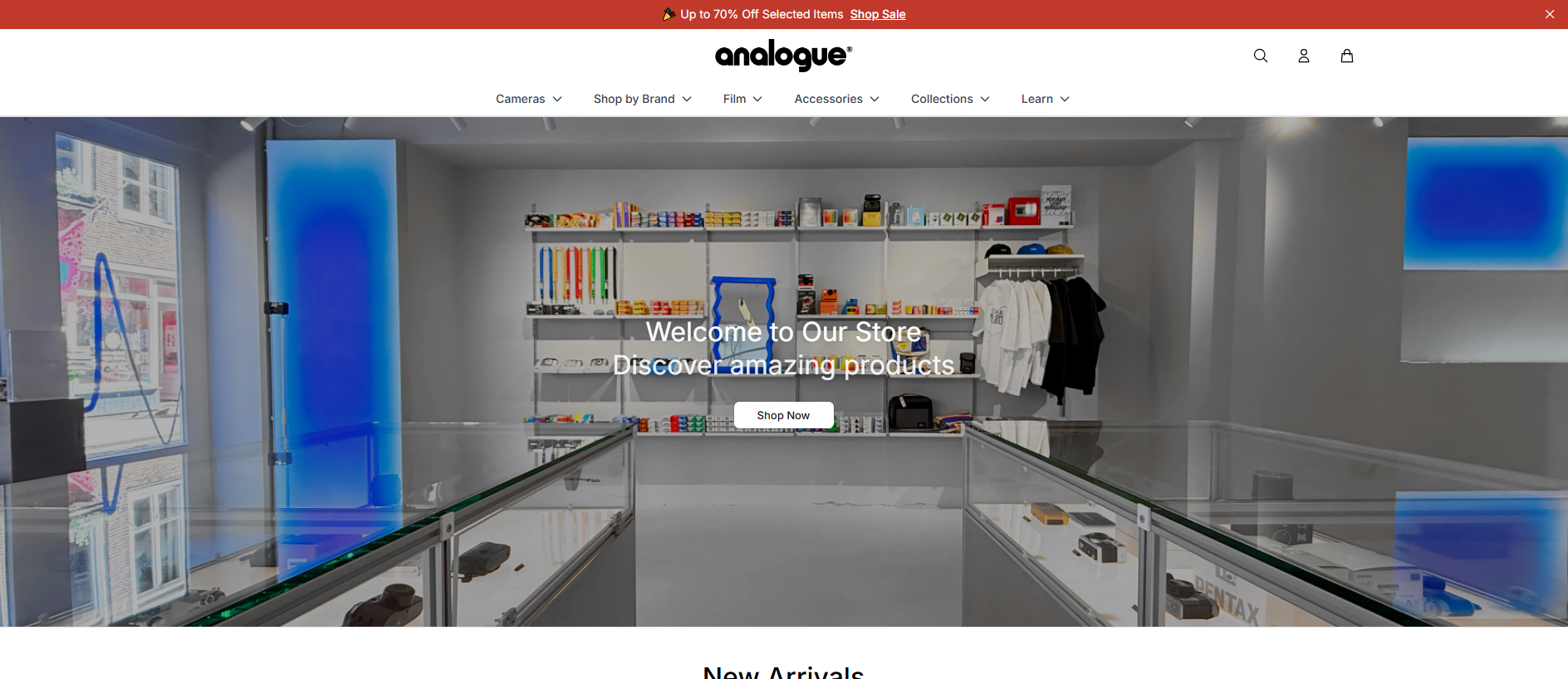 Stored capture of analogueshopstore.shop