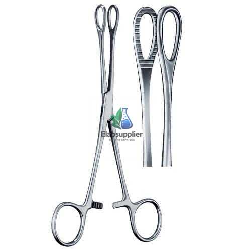 Sponge holding forceps ring handle 24cm OT surgical India