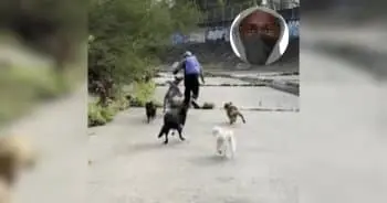Dogs Protect Women from Attacker During Morning Walk