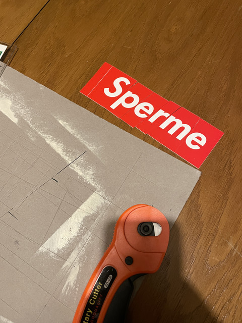https://i.ibb.co/nN1GG9wG/IMG-8482.jpg
