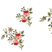 e0a1b72d2f4cf8ab964c4dfc1d6885a2