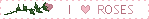 roses2