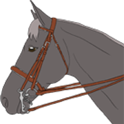 kanki1