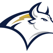 Austin Bulls Logo