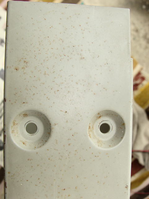 DSC00010