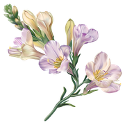 3c5ff5f0e17b2be830cd031a05c951a4