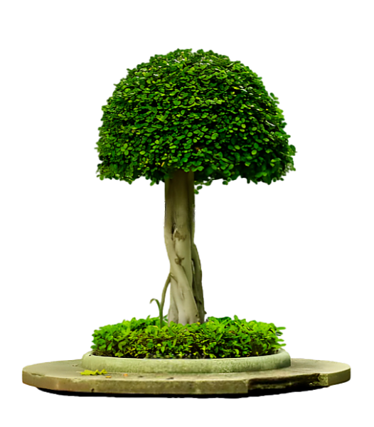 16145844d-Hpu-B03-I.png