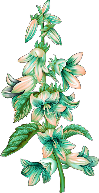 d13ef5b028e8955ef4f17a1720737e4e.png