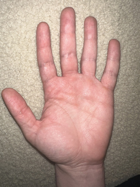 IMG 1816