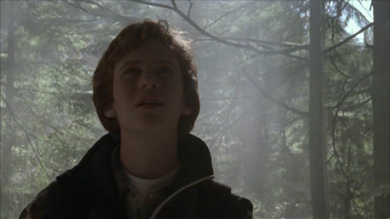 Spirit Bear: The Simon Jackson Story Screenshot