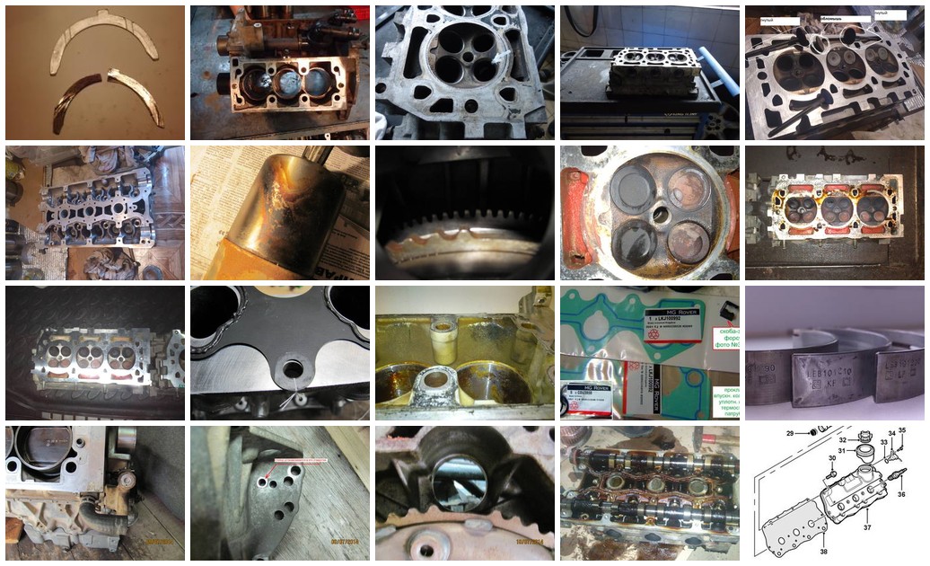 https://i.ibb.co/nNLf3XNf/2434-collage.jpg