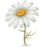 202.png