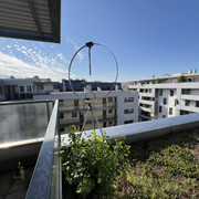 IMG-2906