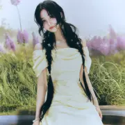joy red velvet 1332797