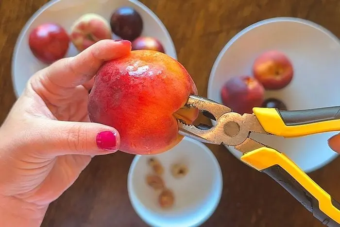 Unexpected Tool Simplifies Pitting Peaches