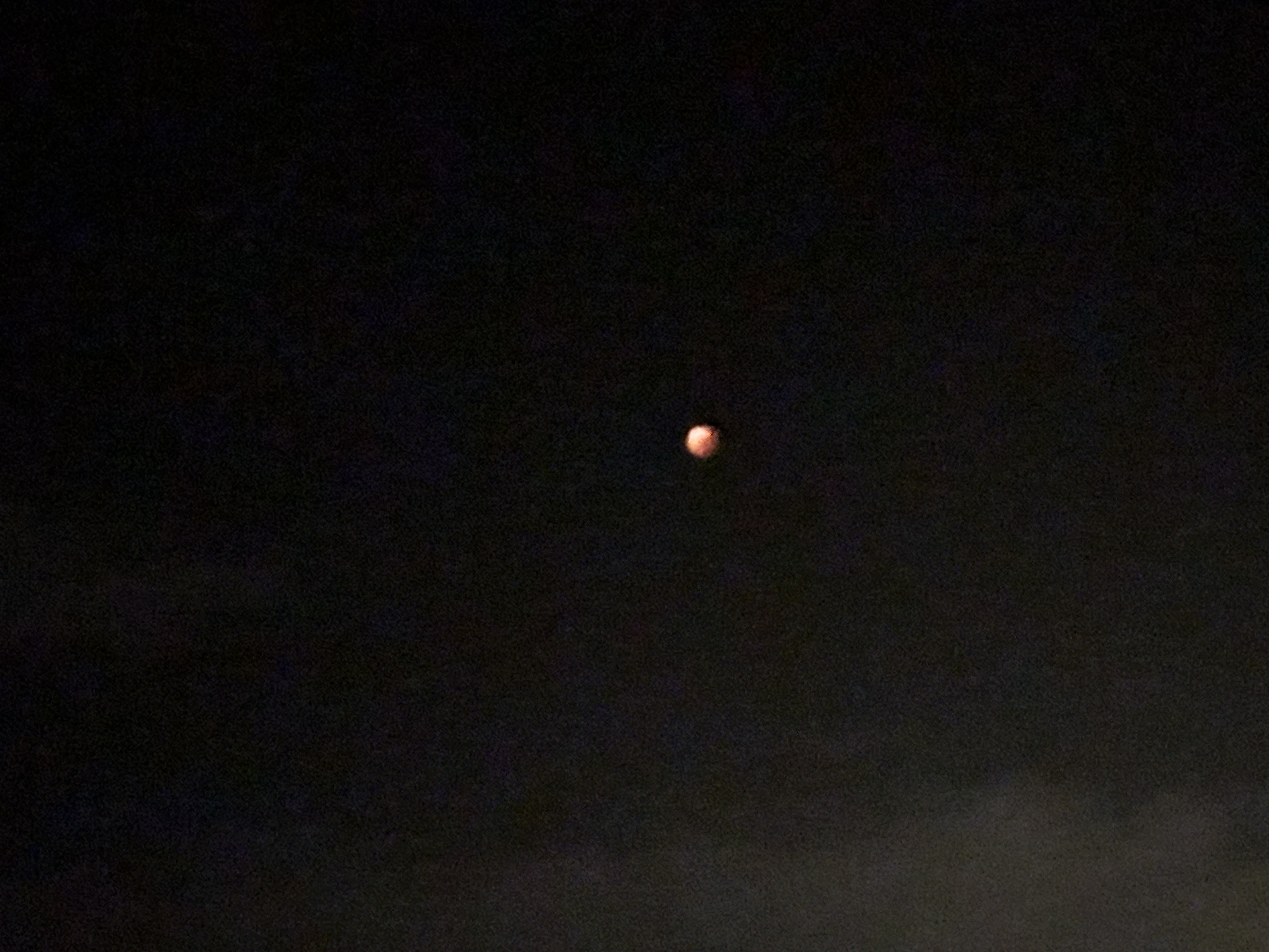 IMG-9896.jpg