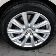IMG 3519
