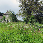 E Titley Junction