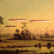Florida-Sunset-with-Two-Cows