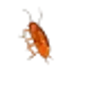 1147665491356295310