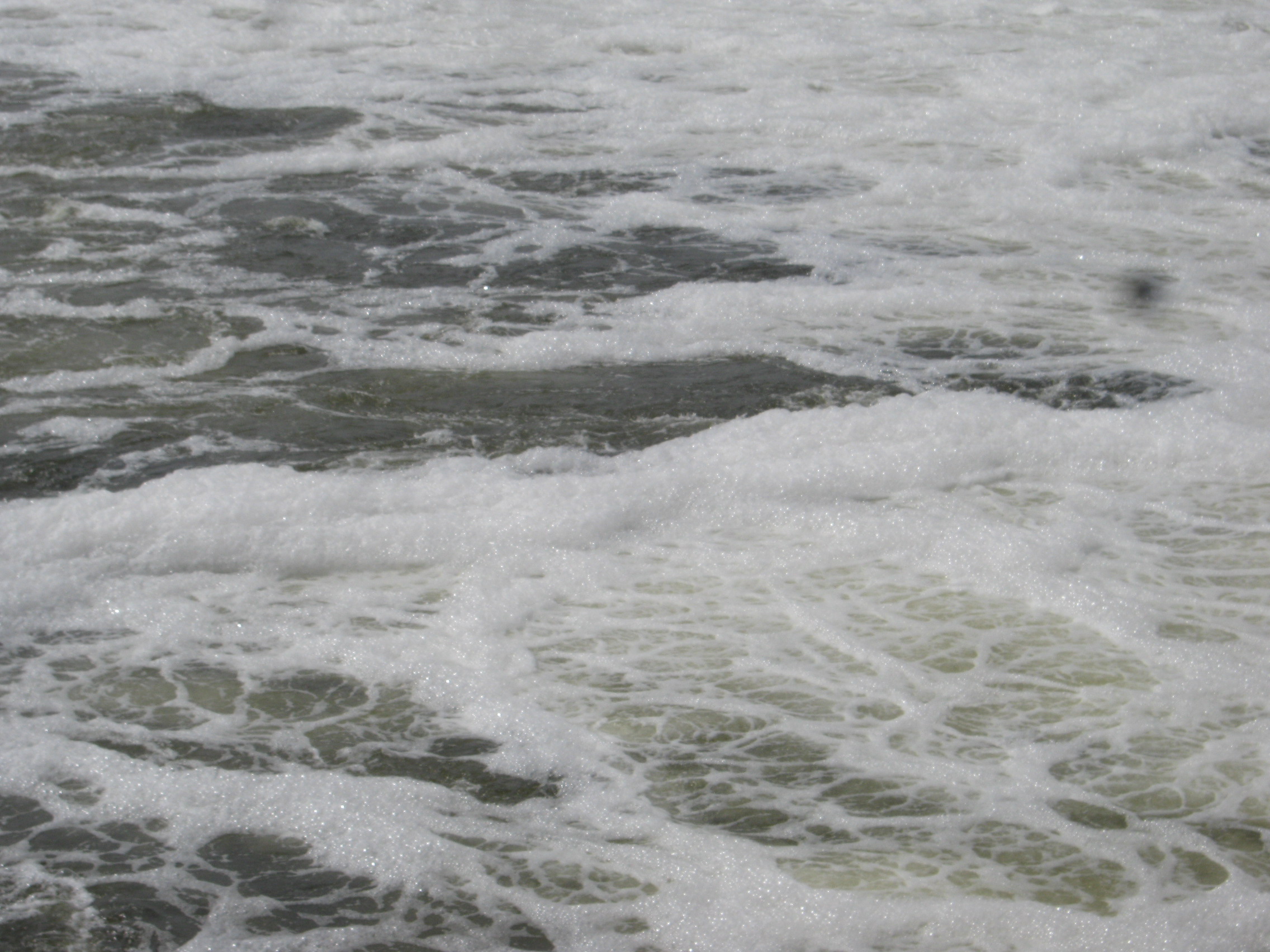 IMG-0293.jpg