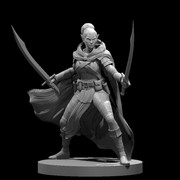 Elf Female Ranger w Two Swords 2