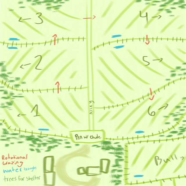 Untitled236 20260601162743