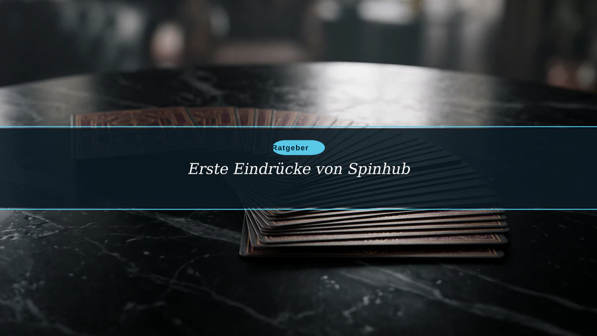 Erste Eindrücke von Spinhub
