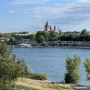 IMG-8931