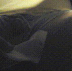 bloggif 69ab4423a6e48