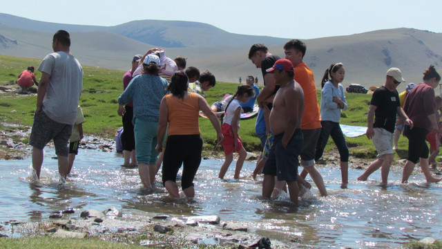 IMG 0356.jpg