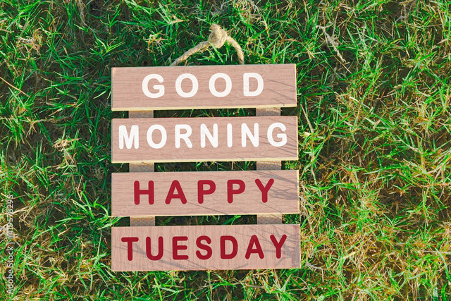 tuesday-48