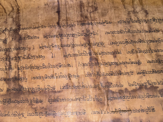 IMG-0218