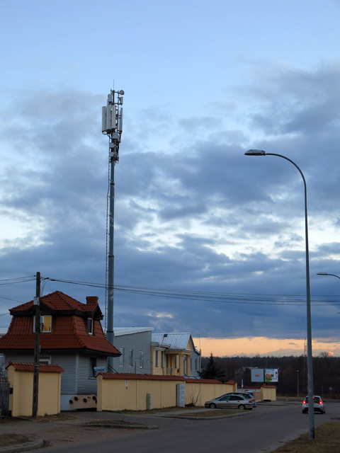 IMG-3533