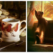 Be-Funky-collage-2