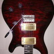 prs-2010b