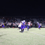 IMG-1347