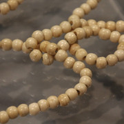 IMG-7344